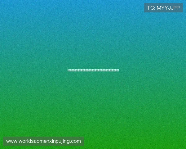 新普京在线娱乐官网技术支持与安全保障措施，保障玩家信息与资金的安全