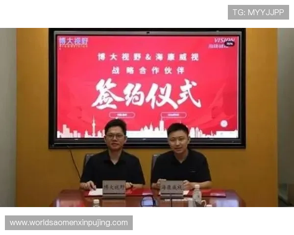 新裕公司与葡之京合作背景及合作成果详解助力游戏企业实现持续增长与市场突破