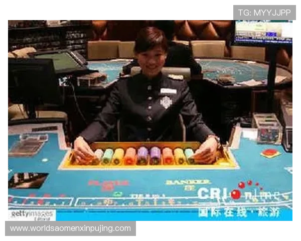 澳门新葡京官网游戏种类全攻略，满足不同玩家的多样化娱乐需求